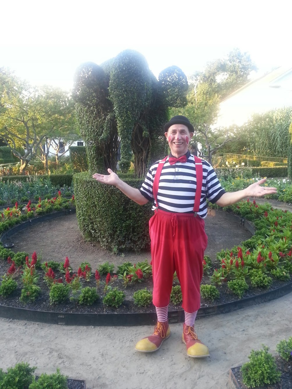 Clown Performance